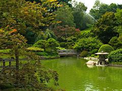 Japanese Style Garden